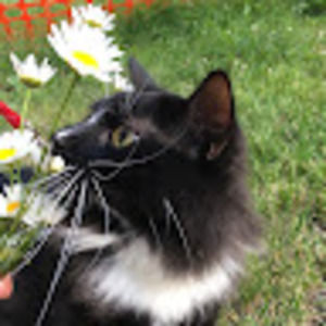 Meet your Posher, Alex